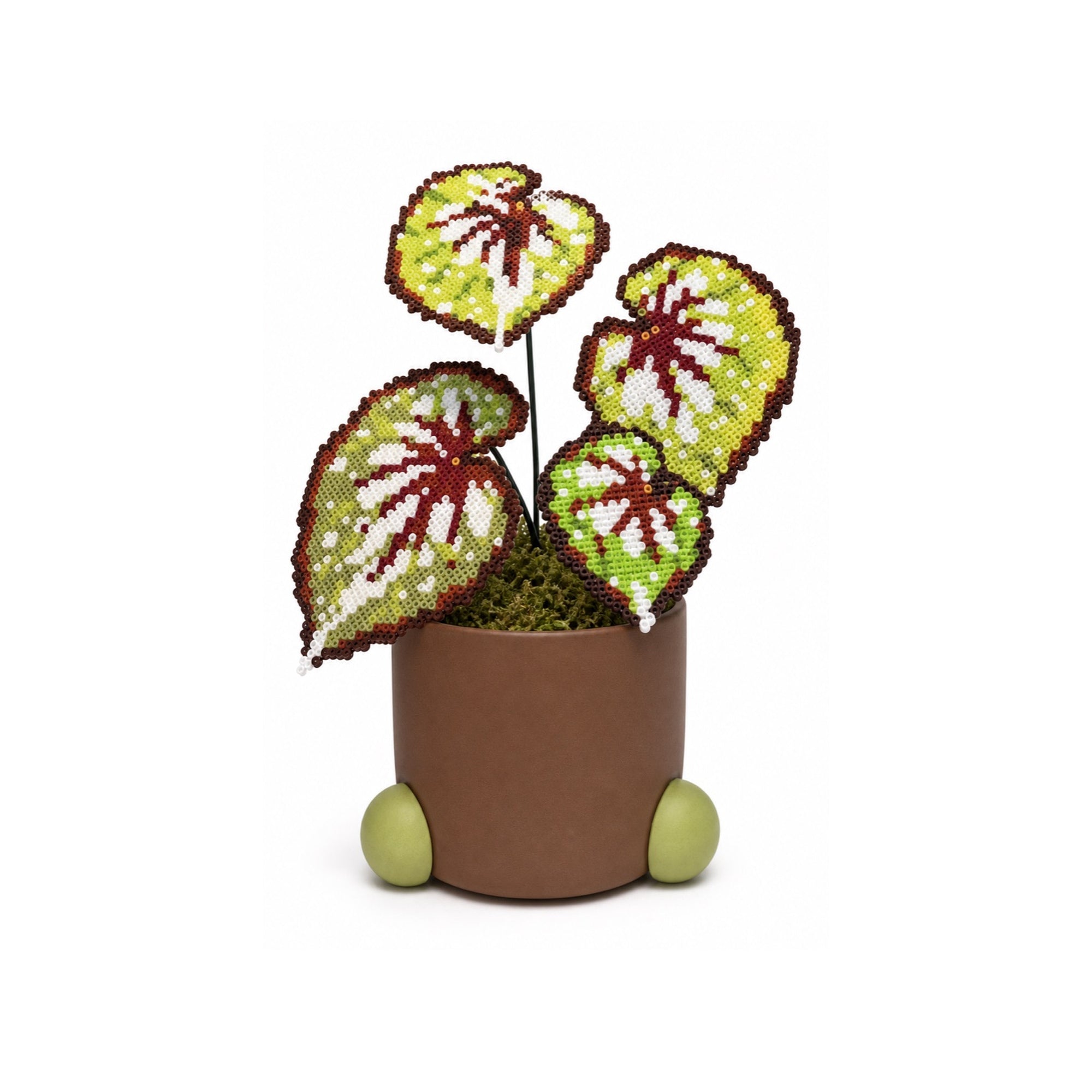 Matcha Chocolate Begonia Pixel Plant handmade pixel bead plant, pot not included