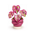 Pink Caladium Pixel Plant handmade pixel bead plant, pot not included