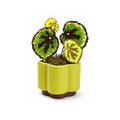 Prayer Leaf Pixel Plant handmade pixel bead plant, pot not included