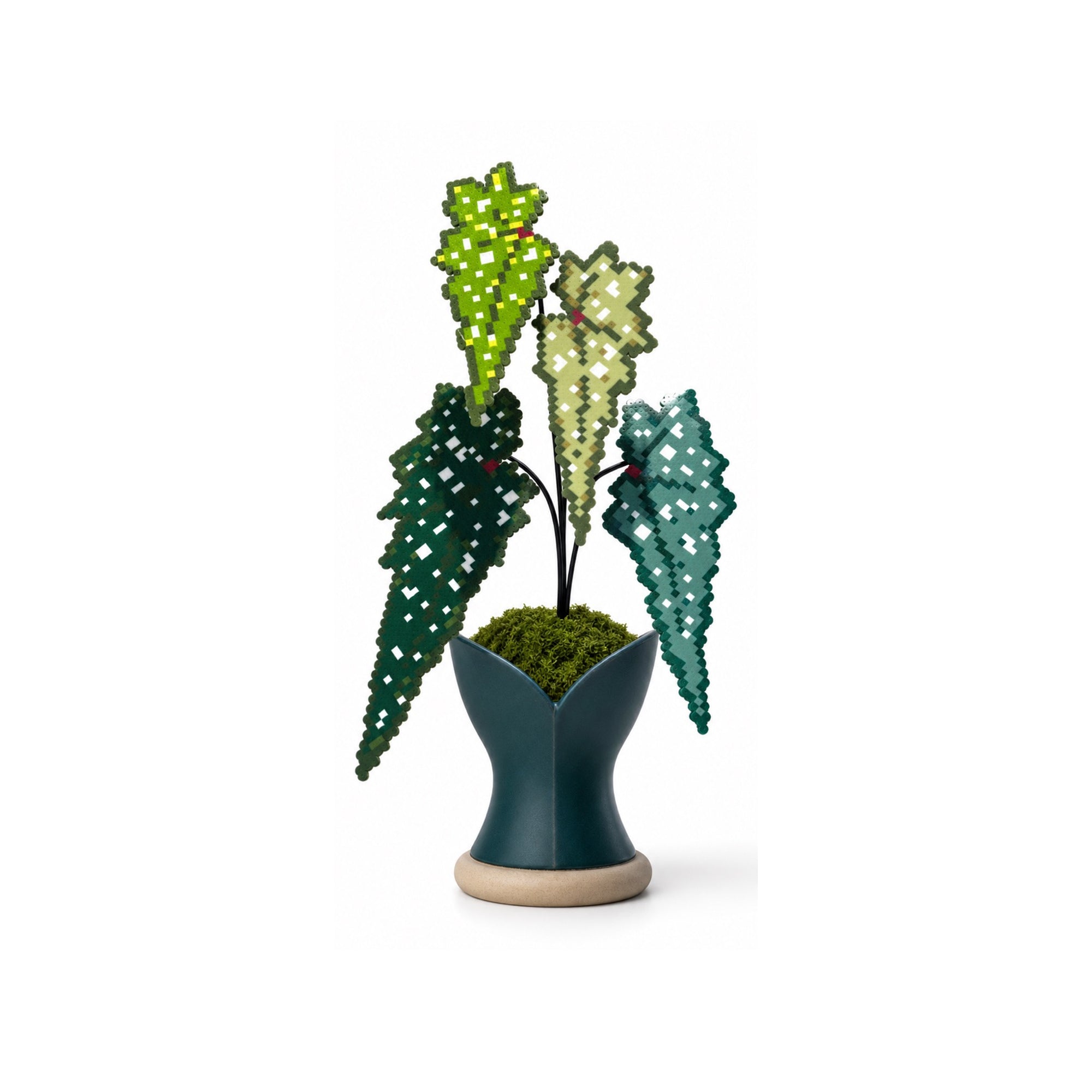 Sardine Fish Begonia Pixel Plant handmade pixel bead plant, pot not included